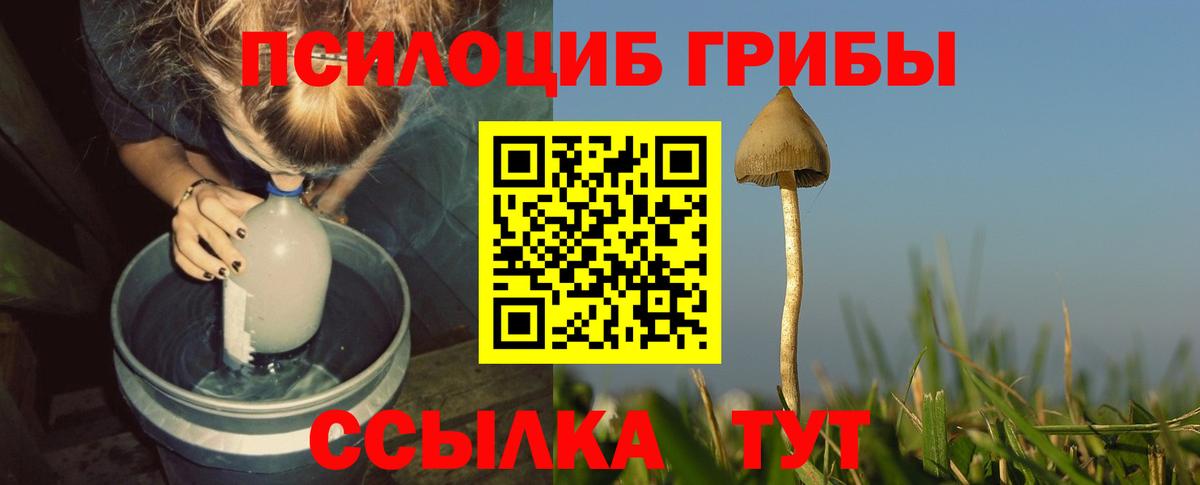 Киселёвск  Галлюциногенные грибы Magic Shrooms  Вход с VPN 